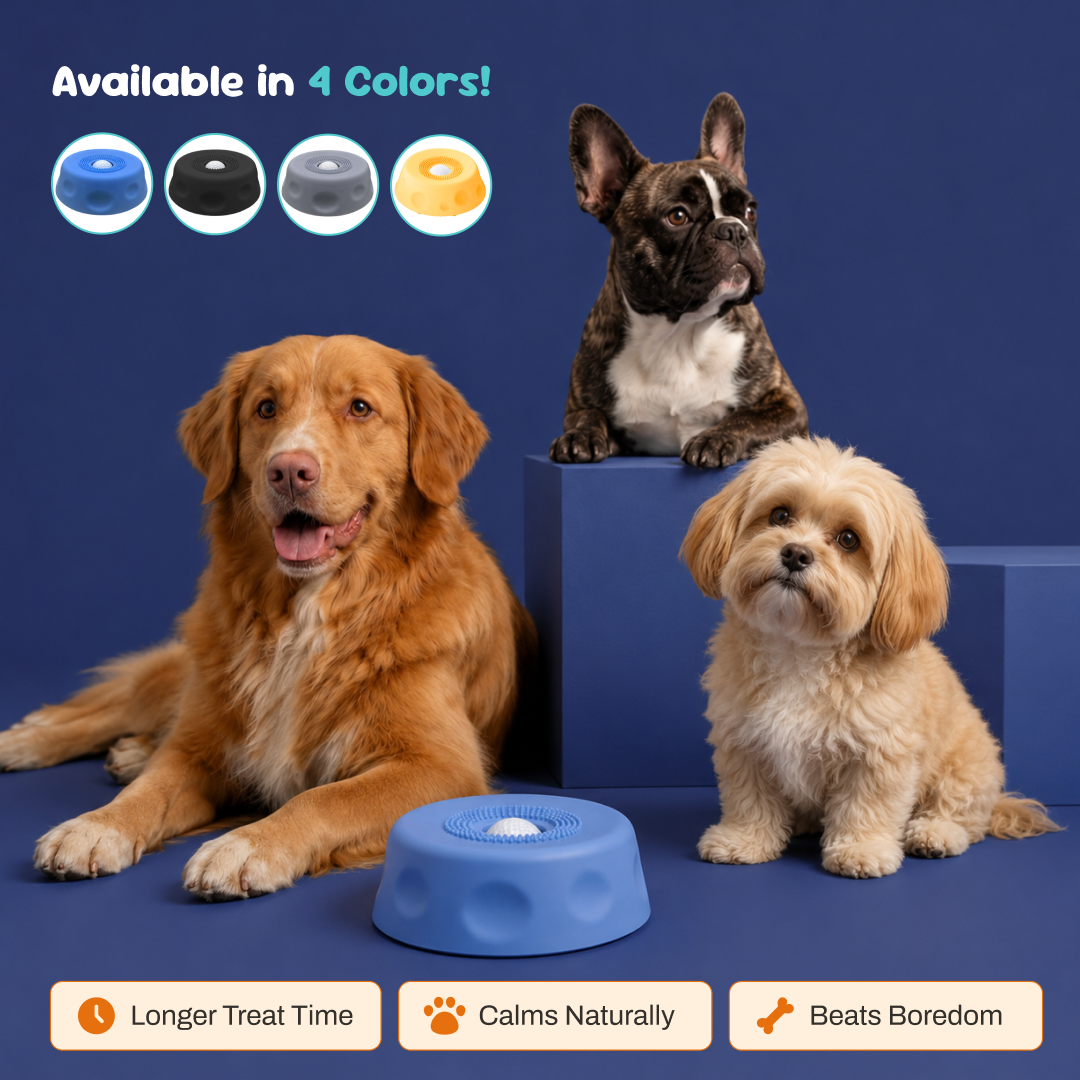 Purely Pup Bowl