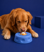 Purely Pup Bowl
