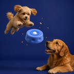 Purely Pup Bowl